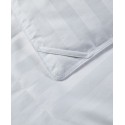 Goose Down All Season Damask Stripe Comforter, Twin