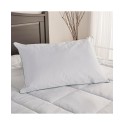 Polyester Twin Pack Pillows, Standard