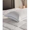 Polyester Twin Pack Pillows, Standard