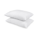 Brushed 2-Pack Pillows