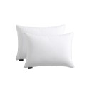 Feather & Down 2-Pack Pillow, Standard/Queen Feather & Down 2-Pack Pillow, Standard/Queen