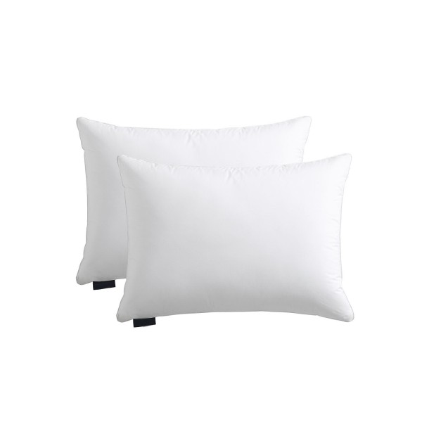 Feather & Down 2-Pack Pillow, Standard/Queen