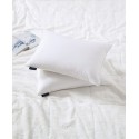 Feather & Down 2-Pack Pillow, Standard/Queen Feather & Down 2-Pack Pillow, Standard/Queen