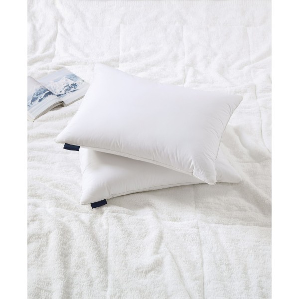 Feather & Down 2-Pack Pillow, Standard/Queen