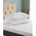 Traditional 2-Pack Pillows, Standard