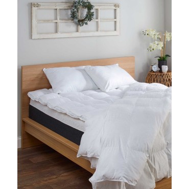 Traditional 2-Pack Pillows, Standard