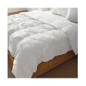 Alternative Comforter - Twin