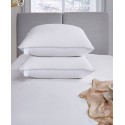 Premium Down Pillow, Jumbo