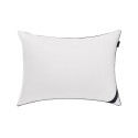 2-Pack Pillows Collection